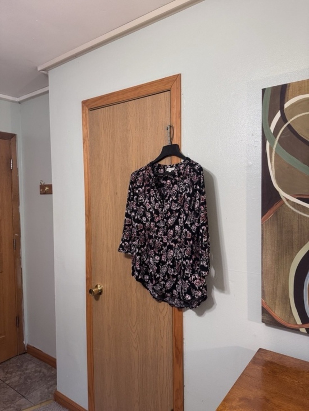 Dana Buchman Large Multi-Color w/Paisley Long Sleeve Popover Blouse - EUC